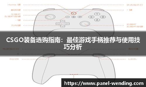 CSGO装备选购指南：最佳游戏手柄推荐与使用技巧分析